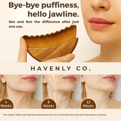 Havenly Co. GloBrush™