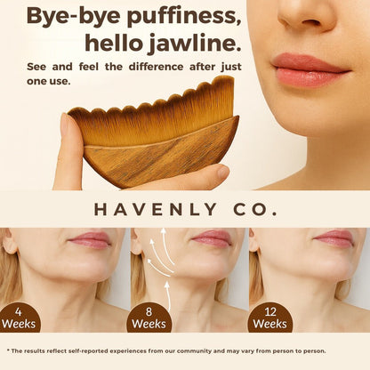 GloBrush™ - Havenly Co.